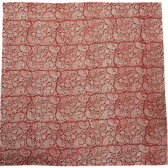 Brick Red Paisley - XL Cotton Wrap - Hand Block Printed